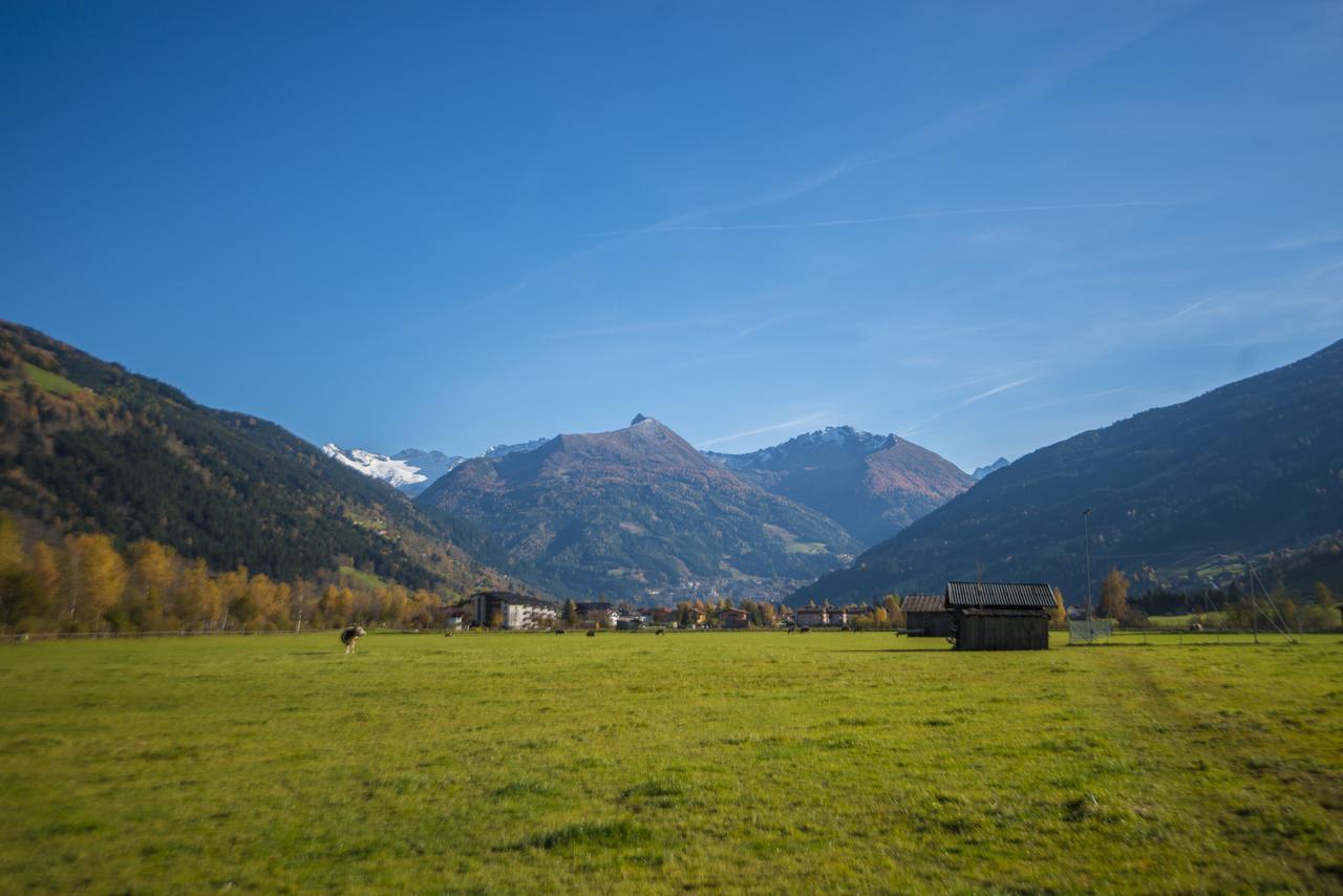 Kendlgut Appartements Am Biobauernhof Inklusive Unbegrenztem Eintritt In Die Alpentherme Bad Hofgastein Exterior photo